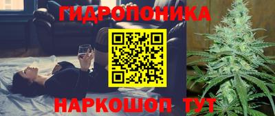 дмт Будённовск
