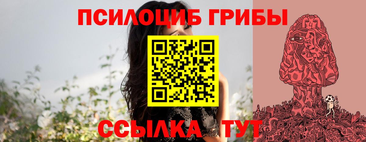 Пенза  Галлюциногенные грибы MAGIC MUSHROOMS  Вход с VPN 